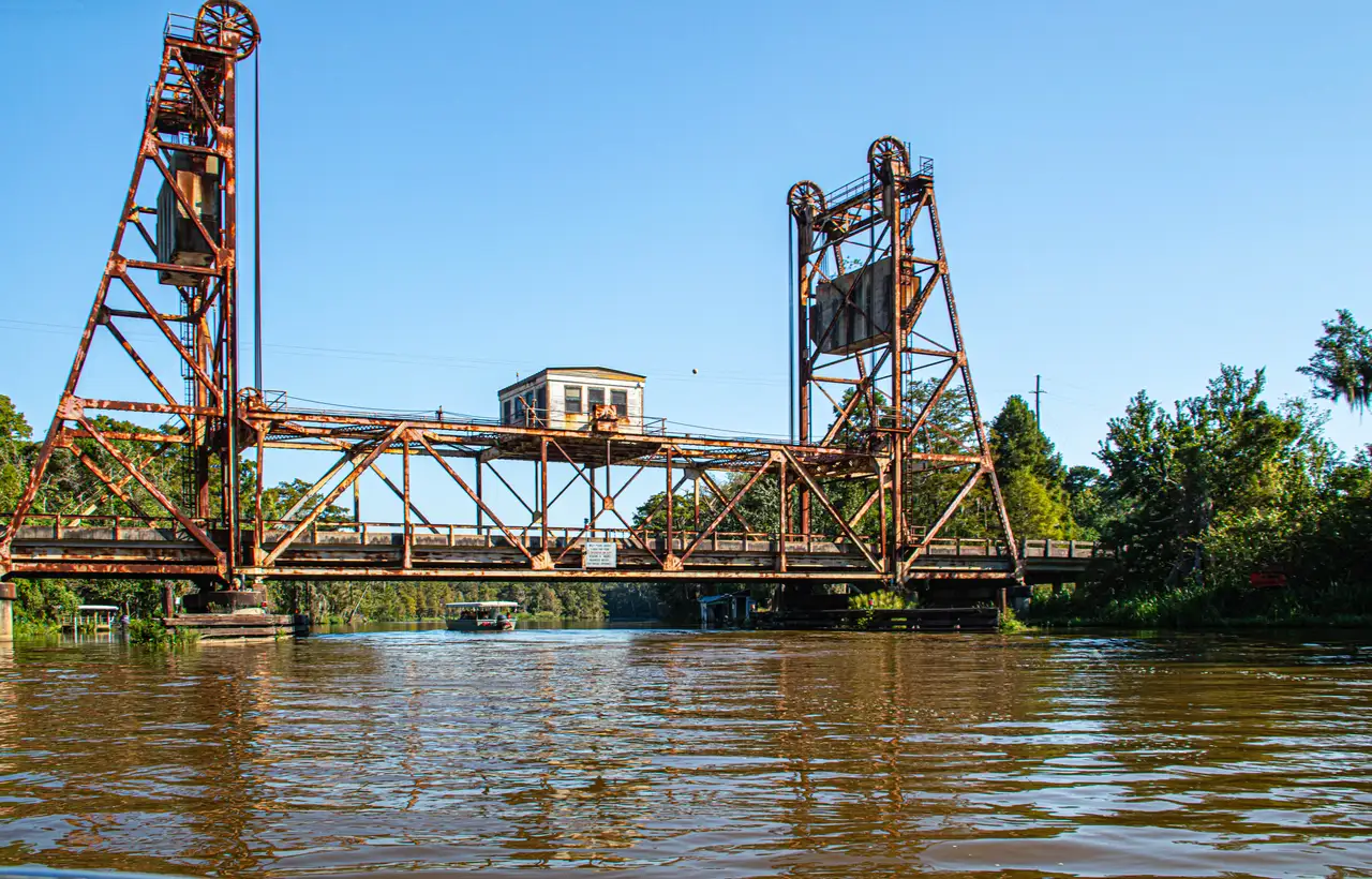 Covered boat gliding through a quiet swamp passage
