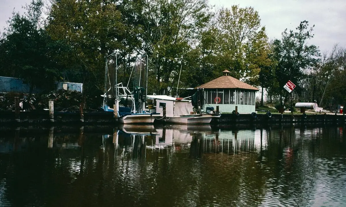 Boats staged at a Louisiana marsh dock for a swamp tour departure